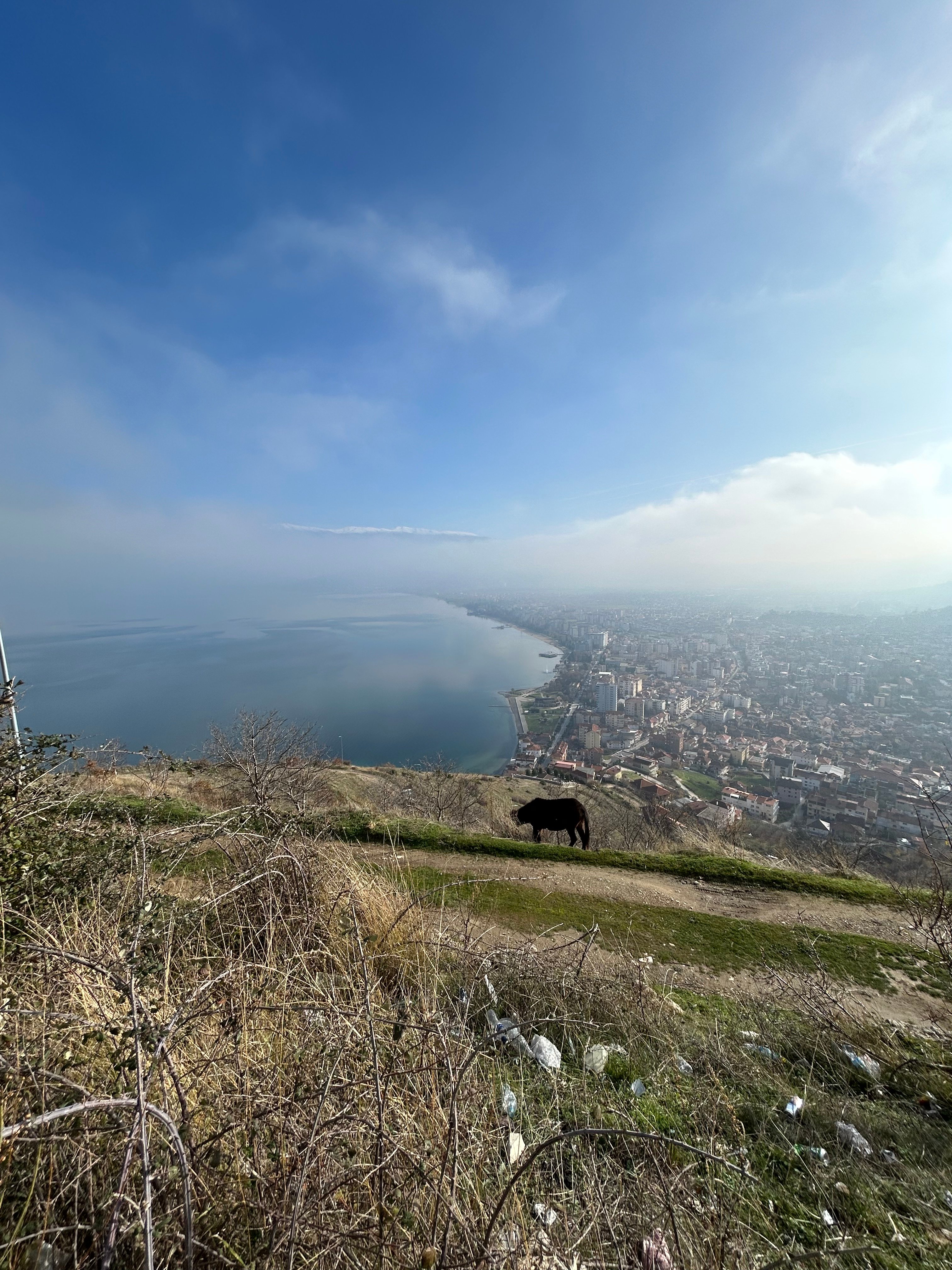 What happened in Albania?